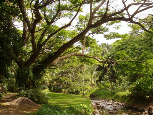 Jardin Mc Bryde Jardin Mc Bryde